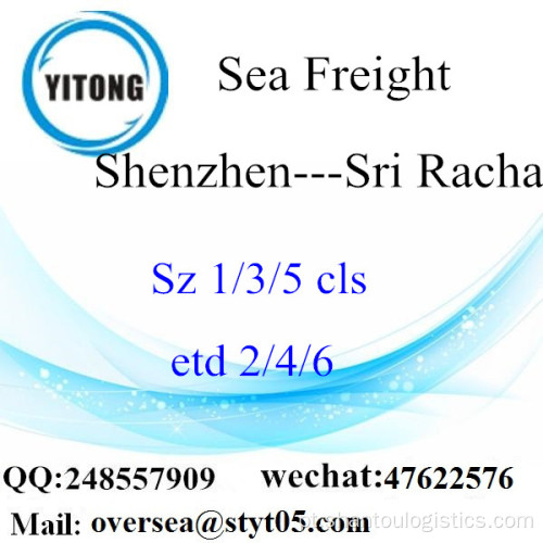 Shenzhen Port LCL Consolidação para Sri Racha